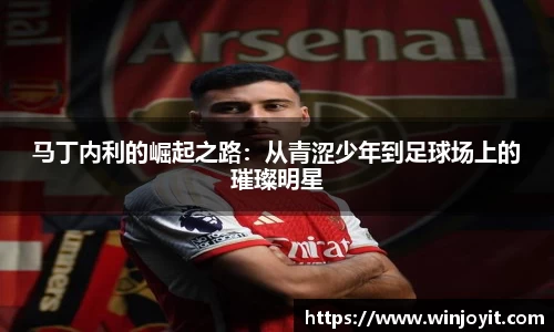 马丁内利的崛起之路：从青涩少年到足球场上的璀璨明星