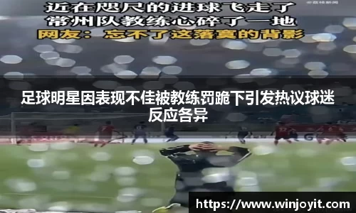 365WM完美体育官网