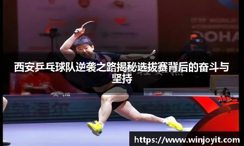 365WM完美体育官方app