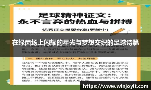 在绿茵场上闪耀的星光与梦想交织的足球诗篇